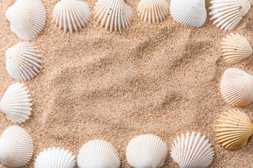 Fototapeta na wymiar Vacation summer time concept. Frame spelled by seashells on beach sand