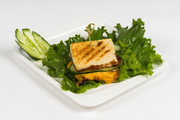 hot dish on white background