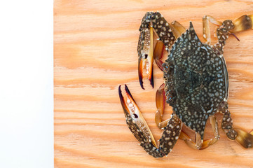Fototapeta na wymiar Fresh uncooked raw crab on wooden dest