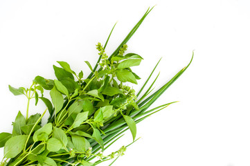 Heap of green parsley on white background