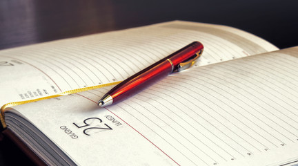 The pen lies on an open notebook. Horizontal format.