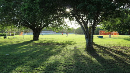 Soccer football practice summer afternoon