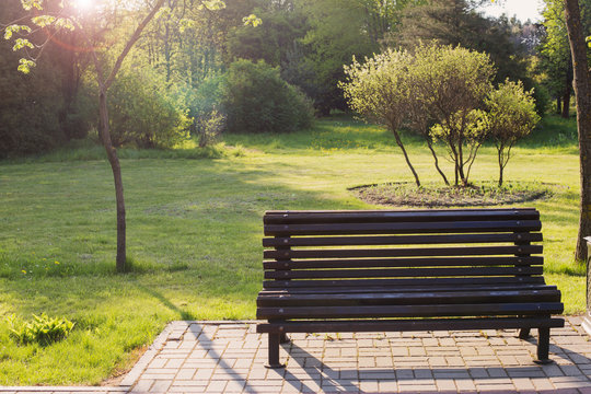 bench in spring park