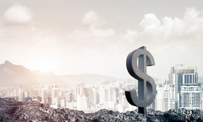 Money making and wealth concept presented by stone dollar symbol