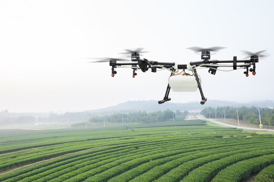 Agriculture drone on the green tea field in morning