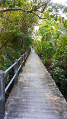  Bangkajao public park, Thailand