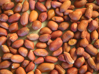 Obraz premium peanuts background