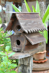 Wooden bird houses covered with ivy