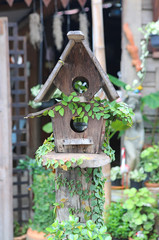 Wooden bird houses covered with ivy