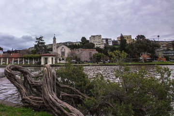 Obraz premium Curvy Tress