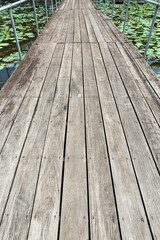 wood bridge in water lily