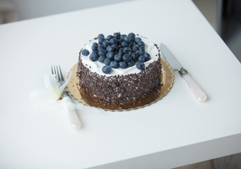 photo of tasty blueberry on chocolate cake on the wonderful white background