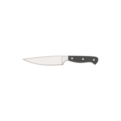 Kitchen knife. Paring. Flat design. Abstract concept. Vector illustration.