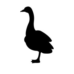 goose vector illustration black silhouette