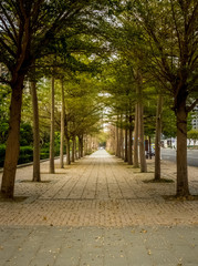 green path 