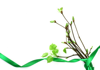 bouquet of young spring branches, green ribbon