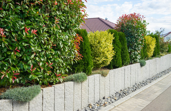 Gartenmauer mit unterschiedlicher Bepflanzung