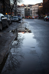puddle on the road with reflection of trees in the city