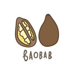 Baobab superfood isolated on white. Vector hand drawn illustration