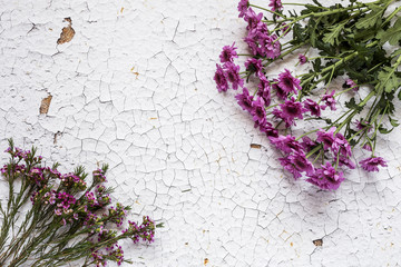 Flowers on white background. Flat lay, top view