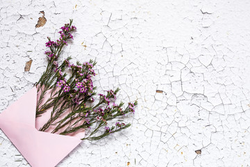 Flowers on white background. Flat lay, top view