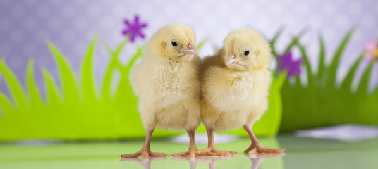 Easter animal and chick