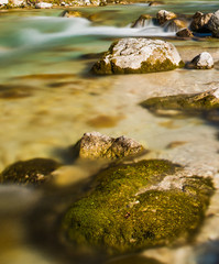 Mountain creek with green alligator head shaped rock