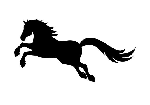 Horse silhouette vector. Black horse on a white background. Illustration of a jumping horse