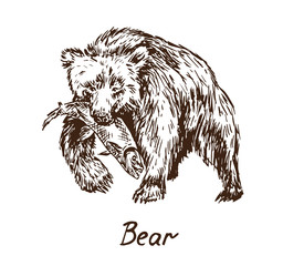 Obraz premium Bear hunt salmon, with inscription, hand drawn doodle, sketch in pop art style, vector illustration