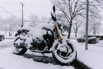 Snow Day