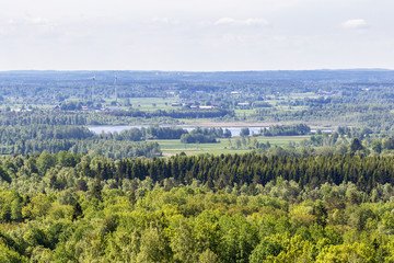 Fototapeta na wymiar View of forest and lake scenery in the summer