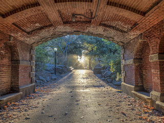 Central Park, New York City