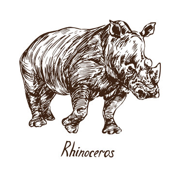 Rhinoceros standing, with inscription, hand drawn doodle, sketch in pop art style, vector illustration
