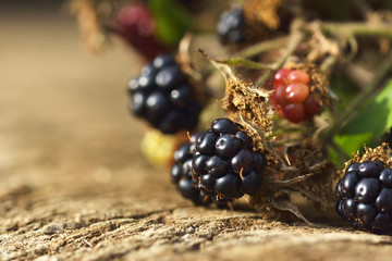 blackberry on wood.