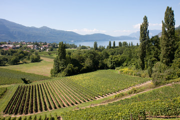 Lac du Bourget