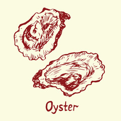 Oysters halves, with inscription, hand drawn doodle, sketch in pop art style, isolated vector illustration