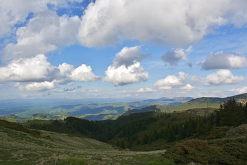 Beautiful alpine meadow with green grass. sunrise. landscape on wild transylvania hills.