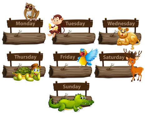 Days of the week with many animals