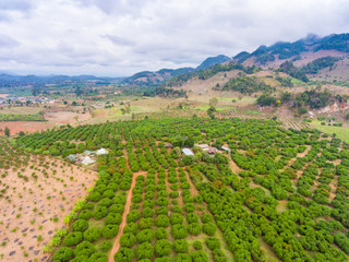 Fototapeta na wymiar Aerial view of Small mountain and farm in country area