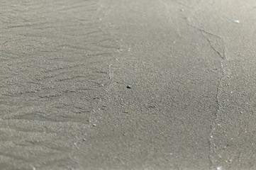 乾いた砂浜のクローズアップ