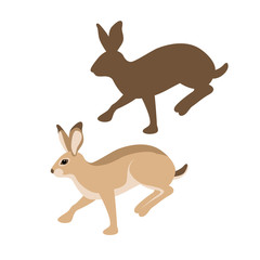 hare vector illustration style Flat set silhouette