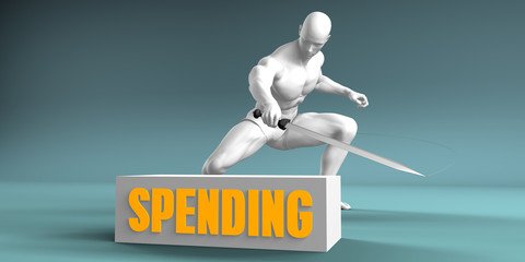 Cutting Spending