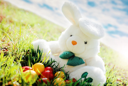 Colorful Easter eggs and bunny in a grass