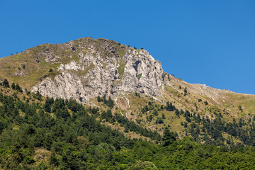Green trees on slopes of a mountain.