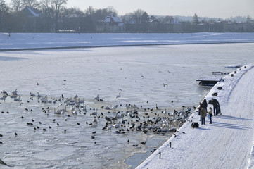 kraków © marsad