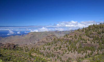 West Gran Canaria in February
