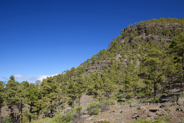 West Gran Canaria in February