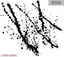 Black splatter on white background, vector.