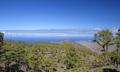 West Gran Canaria in February