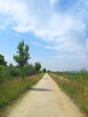 camino de montaña